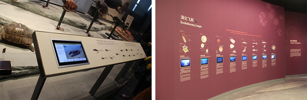 1474954231226995YyyL.jpg 17.jpg